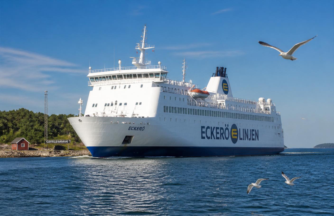 Eckerölinjens färja glider in i Grisslehamns hamn med måsar i luften