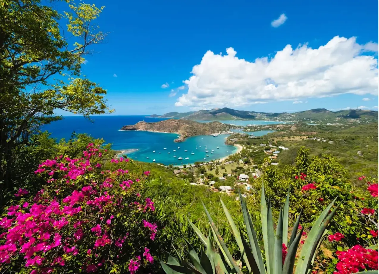 Utsikt över English Harbour på Antigua med blommande bougainvillea